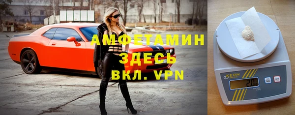 винт Алзамай