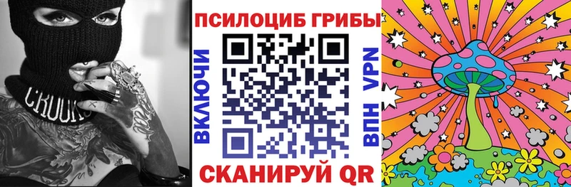 цены   Яхрома  Псилоцибиновые грибы Psilocybine cubensis 